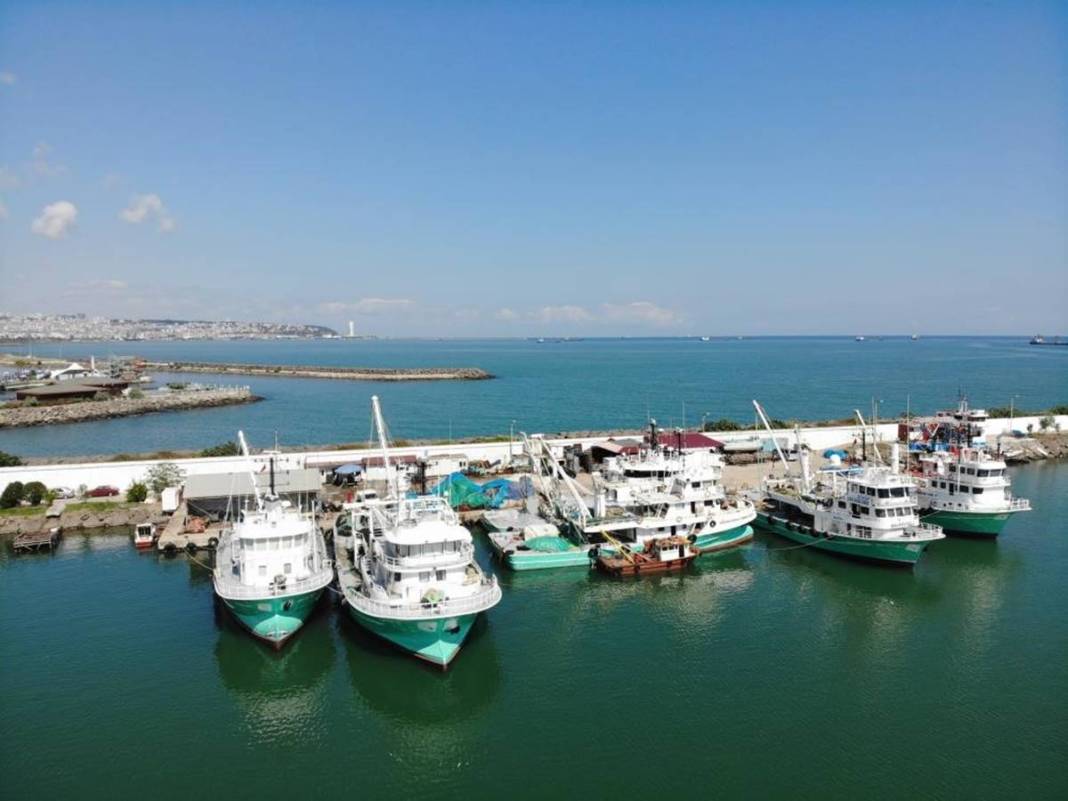 Karadeniz'de yetiştiriliyor, Avrupa ve Uzak Doğu'ya tonlarca satılıyor! Bölge halkının en büyük gelir kapısı 2